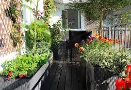 TERRACE & BALCONY GARDENS