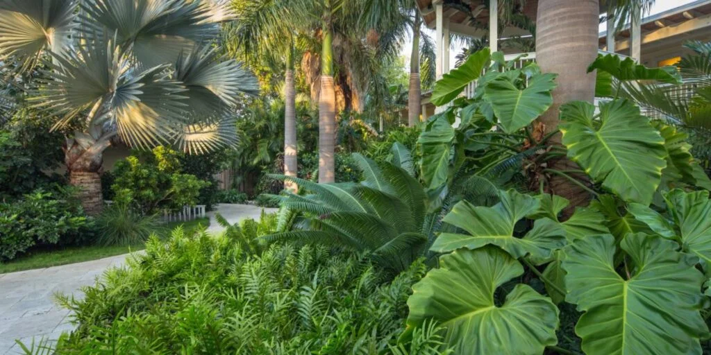 exotic garden