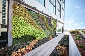 GREEN WALL & VERTICAL GARDEN