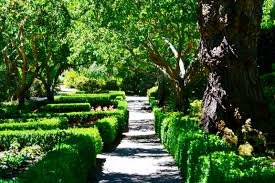 Landscape Management