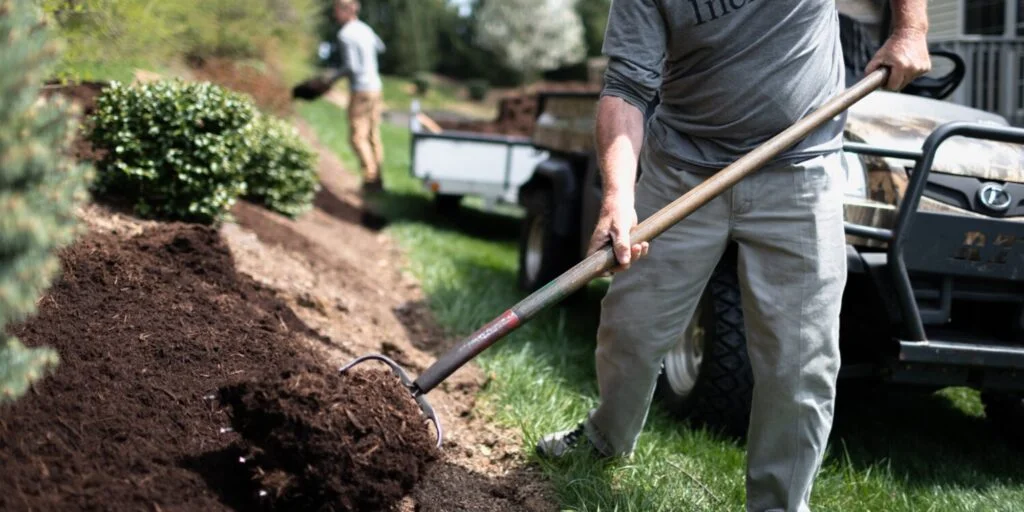 landscape maintenance