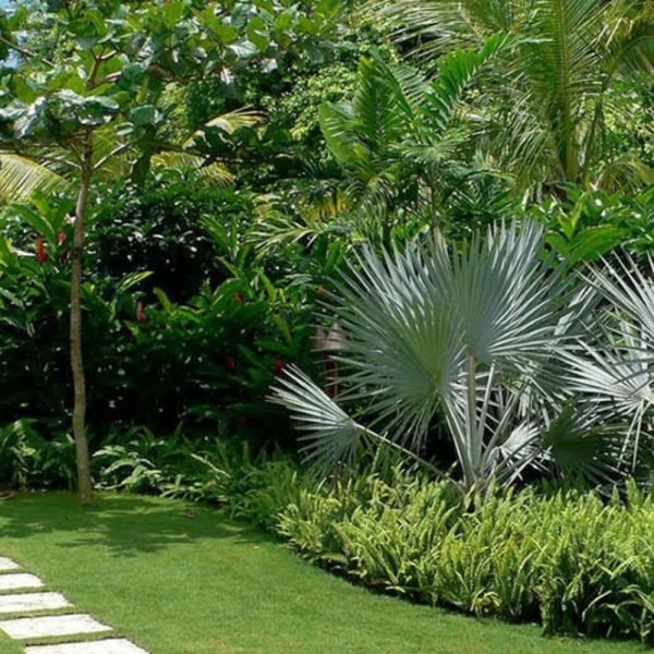 landscape development