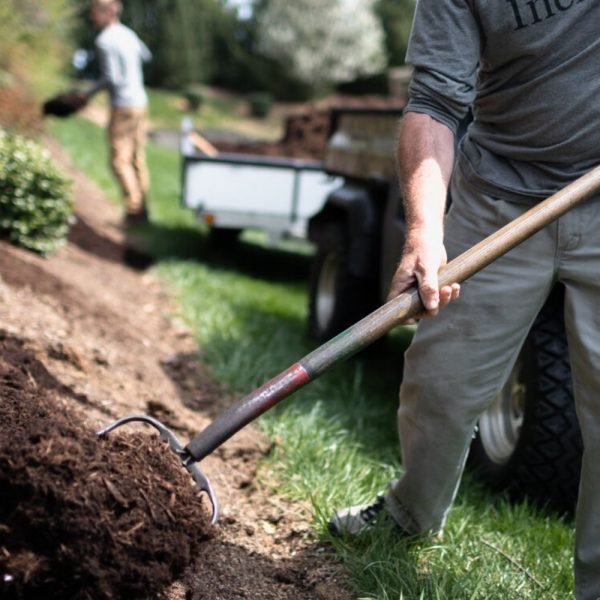 landscape maintenance