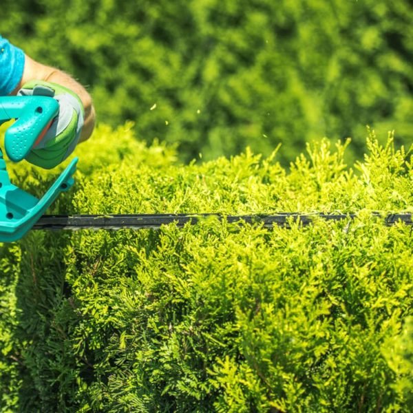 landscape management